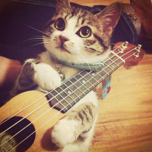 很鲁鲁在线视频
