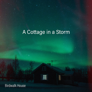 很鲁鲁在线视频
